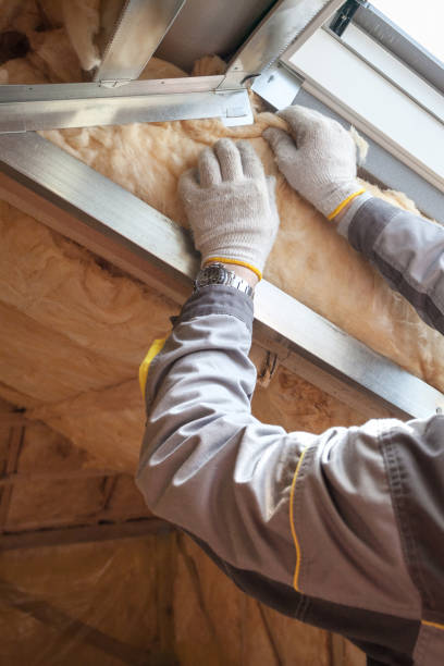 Best Crawl Space Insulation  in Brambleton, VA