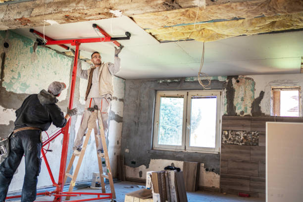 Best Wall Insulation Contractor  in Brambleton, VA