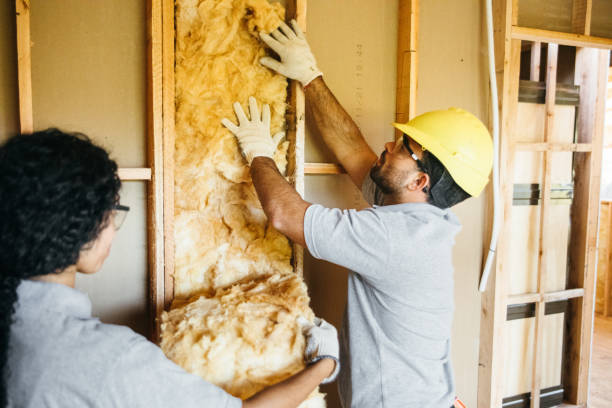 Best Insulation Contractor Near Me  in Brambleton, VA