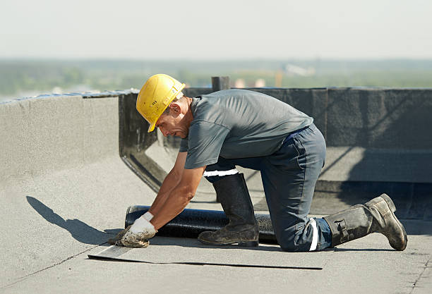 Best Insulation Repair Services  in Brambleton, VA