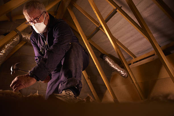 Best Residential Insulation Services  in Brambleton, VA